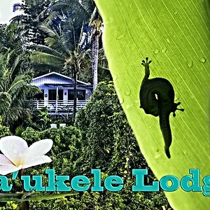 Ma'ukele Bed & Breakfast Pahoa